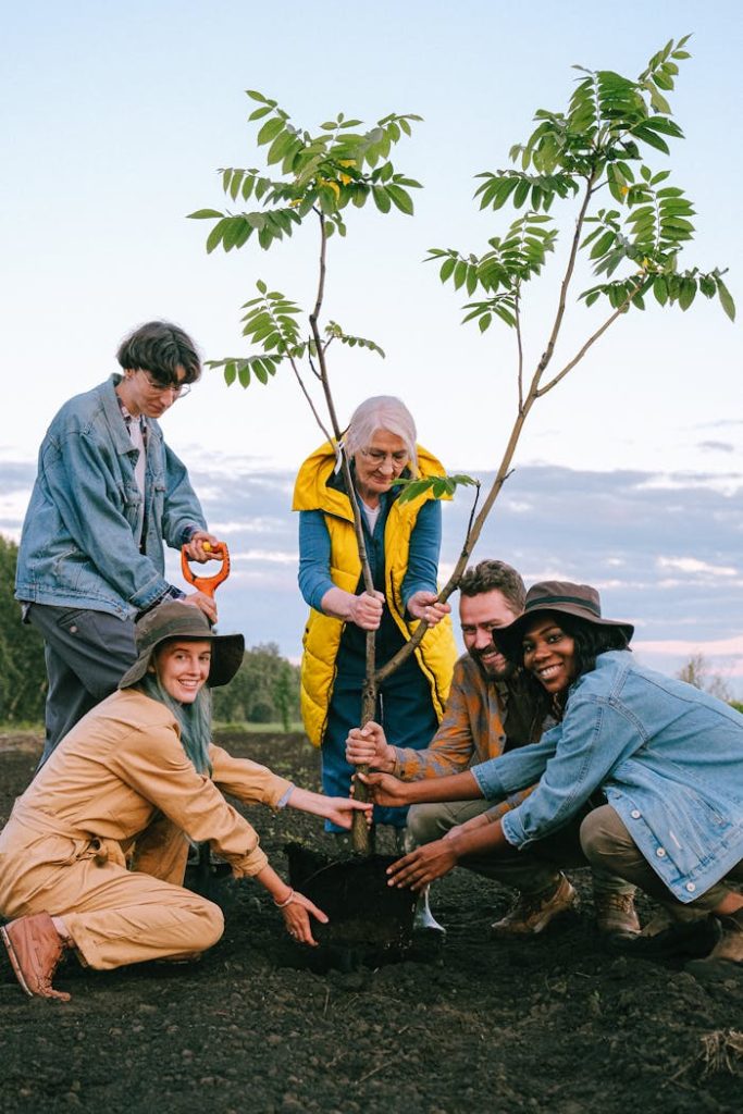 people-planting-plant-together-5029923 A joyful group of volunteers planting a tree outdoors, symbolizing community and teamwork.